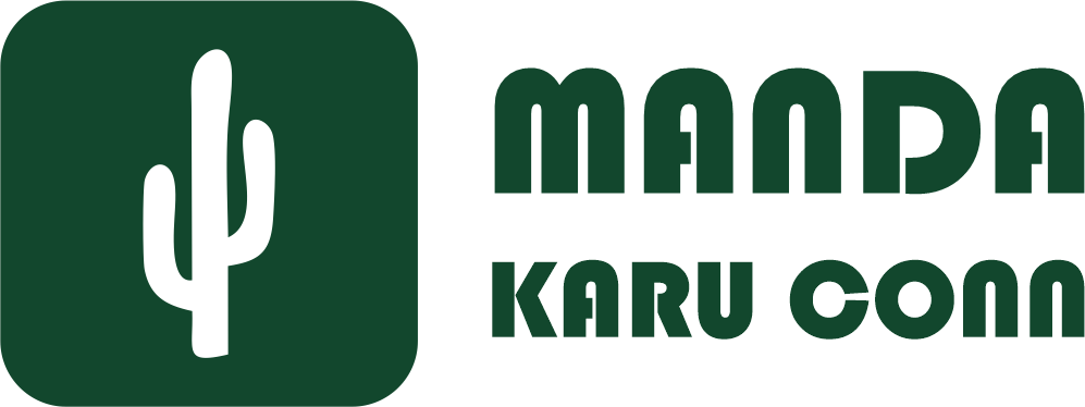 Logo Mandakaru Conn Soluções Digitais